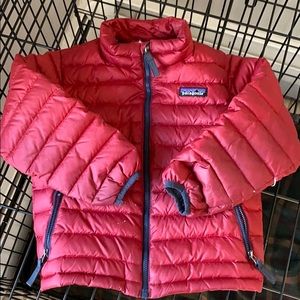 Patagonia sweater jacket